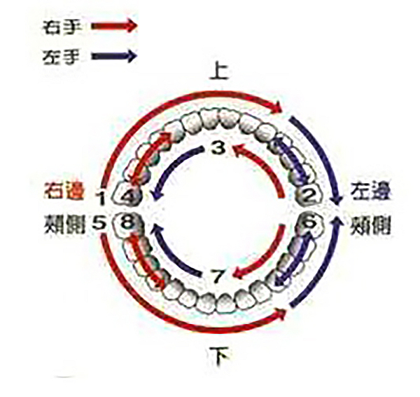 胡桃鉗牙醫診所刷牙功夫秘訣